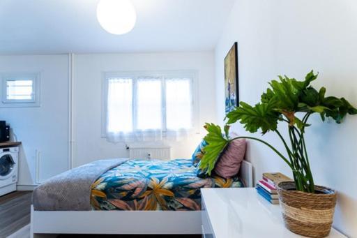 Le Coquet - Balcon - Proche Gare - Parking Apartment Bourg-en-Bresse Ngoại thất bức ảnh
